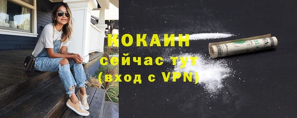 тгк Богородицк