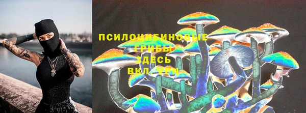 COCAINE Богданович