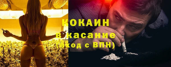 тгк Богородицк