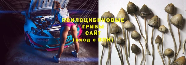 прущая мука Бородино